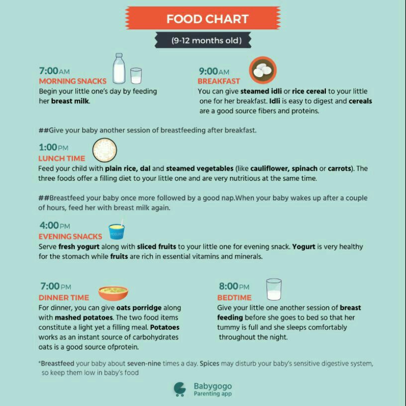 9 month baby food chart and recipes diet chart for 9 month old baby